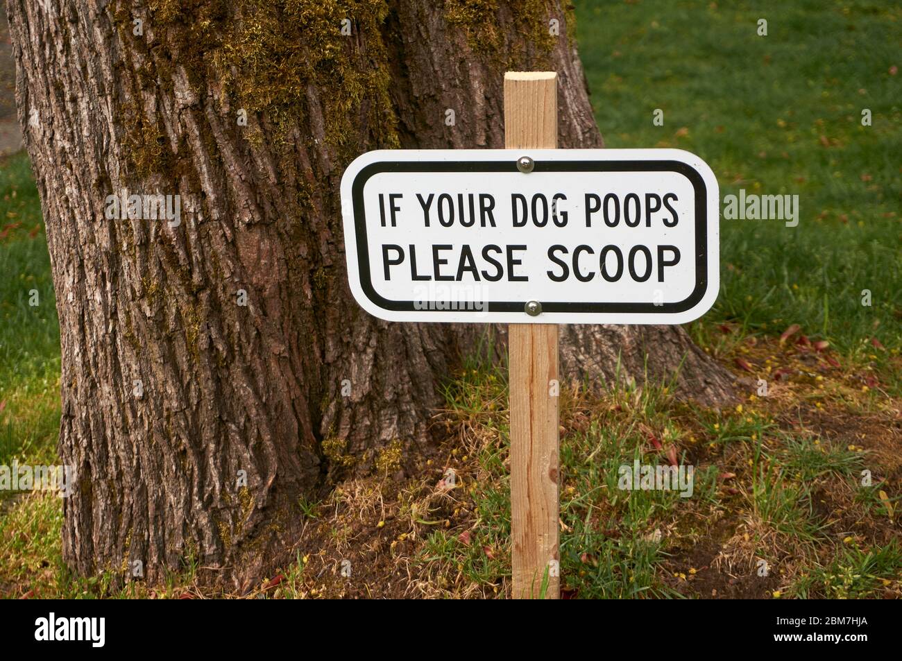 Sign in a garden asking dog owners to clean up after their dogs Stock Photo