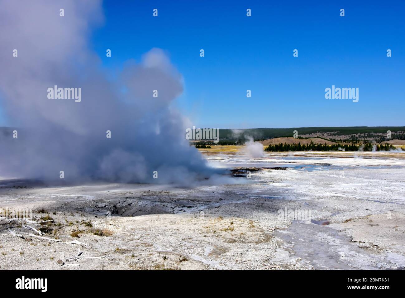 Steam rising from Clepsydra Geyser as it's erupting on Fire hole lake drive, Yellowstone National Park, Wyoming. Stock Photo