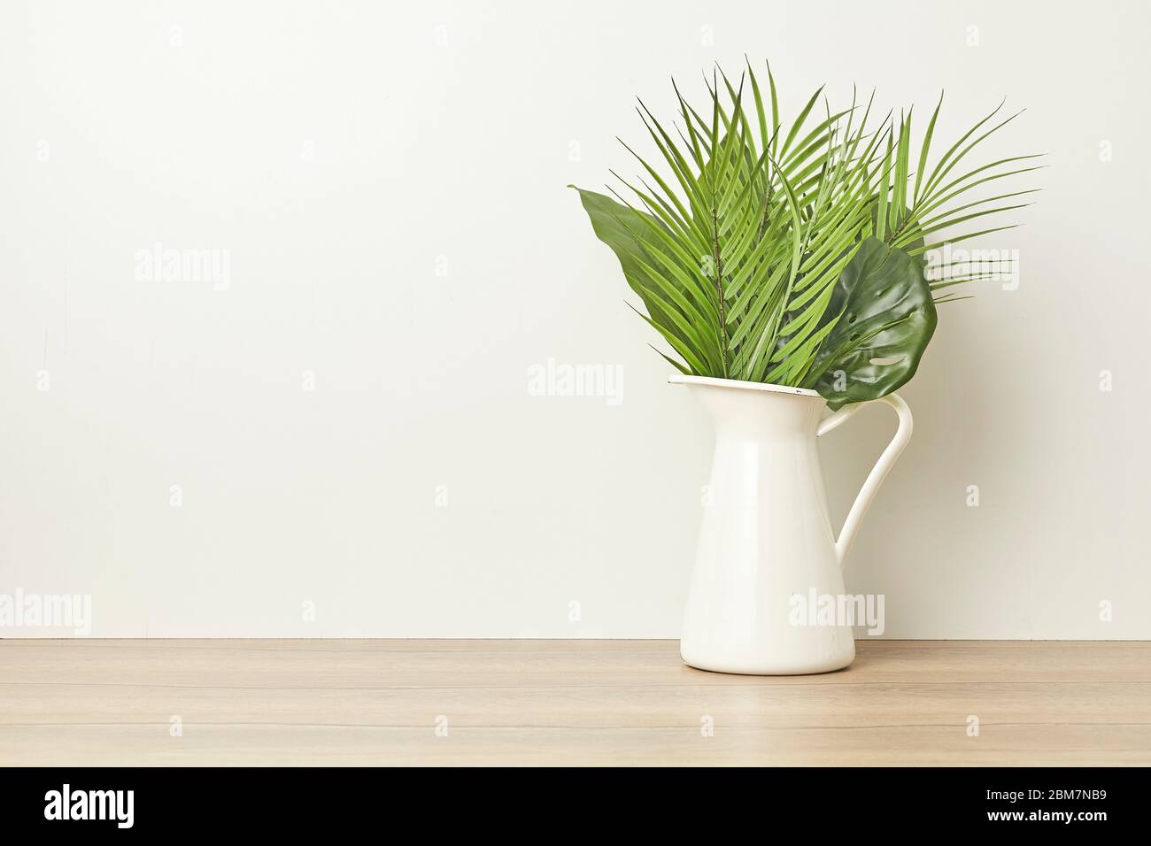 Tropical plant with green leaves on bright white background. Flat lay. Stock Photo