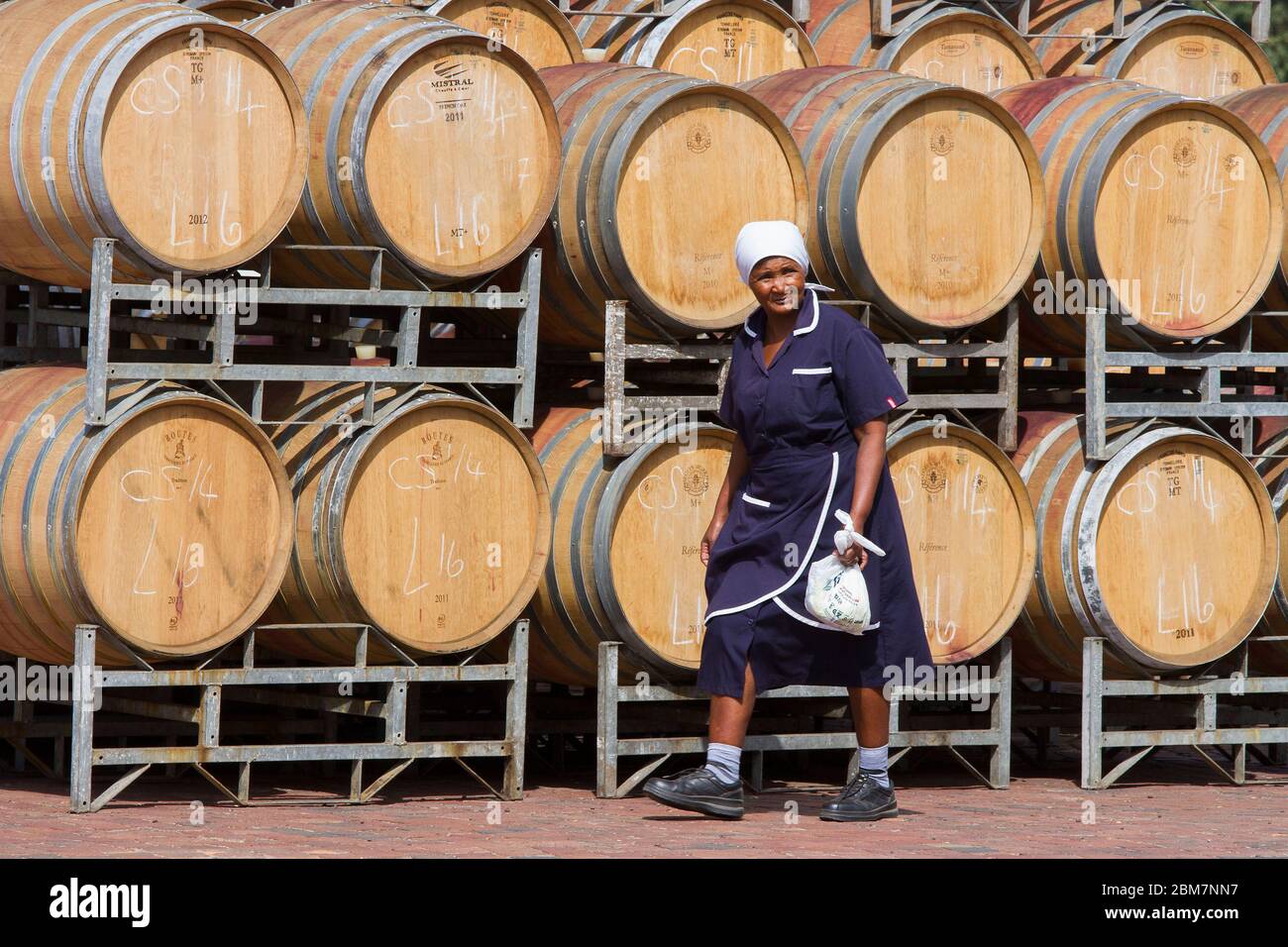 Oak Barrels, Cape winelands, Western Cape, Cape Town, South Africa