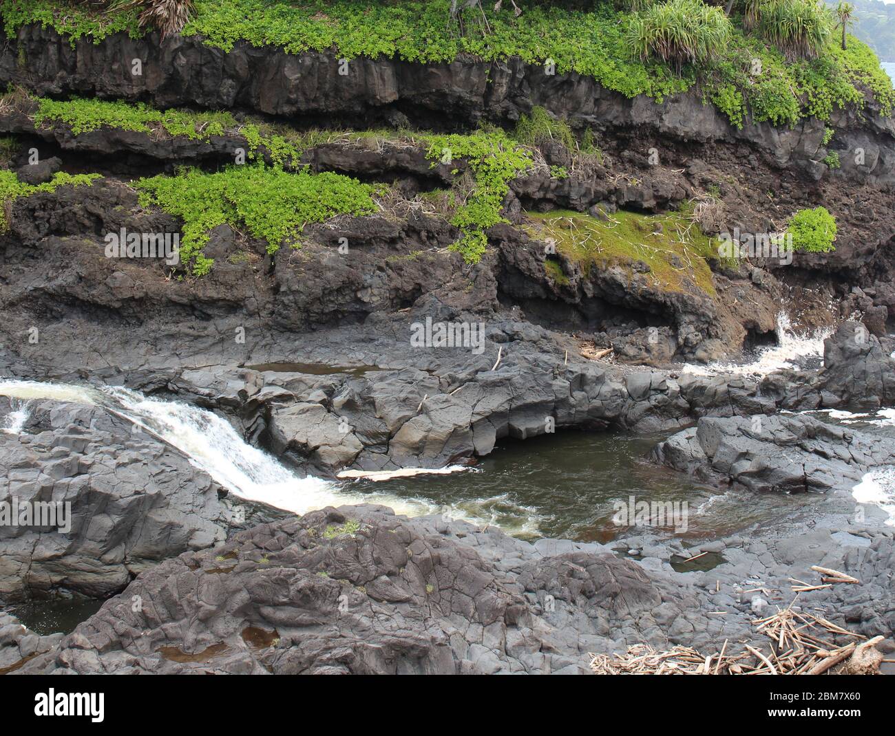 Palikea stream running through volcanic rock with Scaevola taccada and tropical trees growing on the rock at the Oheo Gulch in Hana, Maui, Hawaii, USA Stock Photo