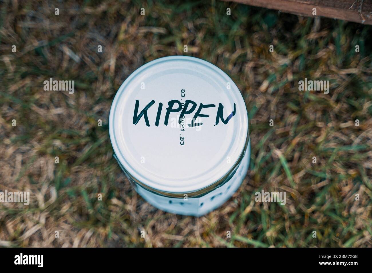 Kippen Ashtray Stock Photo