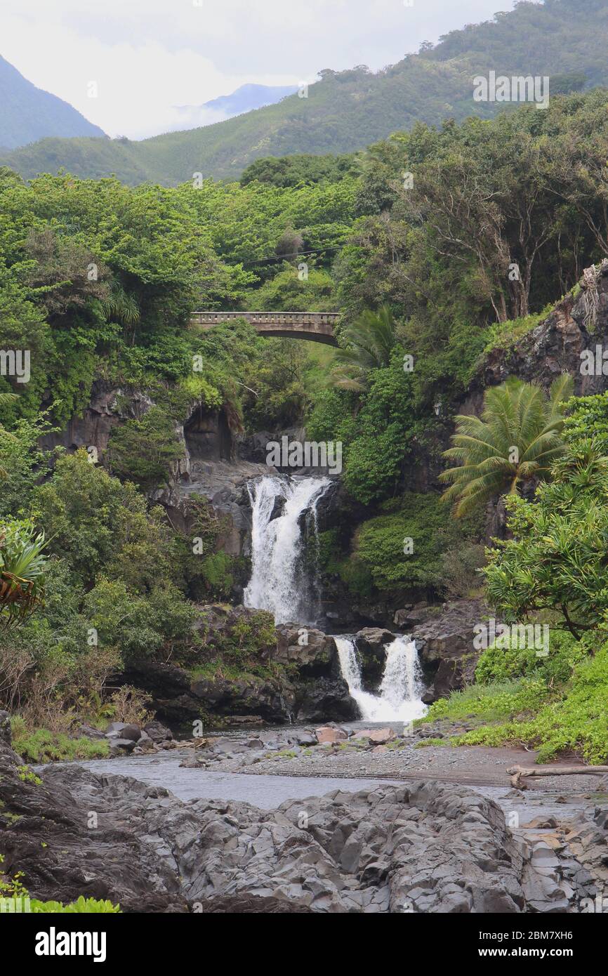 Multiple waterfall of the Palikea stream running through volcanic rock with Scaevola taccada growing on the rock at the Seven Sacred Pools in Hana, Ma Stock Photo