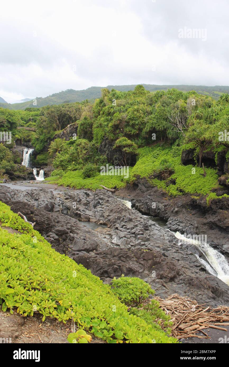 Multiple waterfall of the Palikea stream running through volcanic rock with Scaevola taccada growing on the rock at the Seven Sacred Pools in Hana, Ma Stock Photo