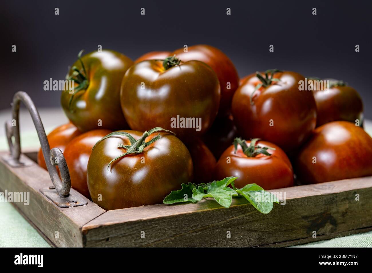 Fresh ripe sweet reddish brown and green kumato tomatoes close up Stock