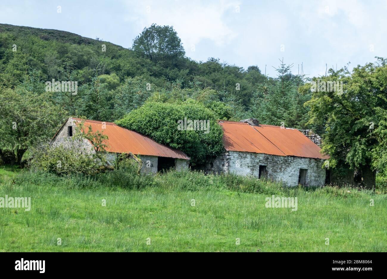 Two abandoned houses in the country side, Co. Fermanagh, Northern Ireland Stock Photo