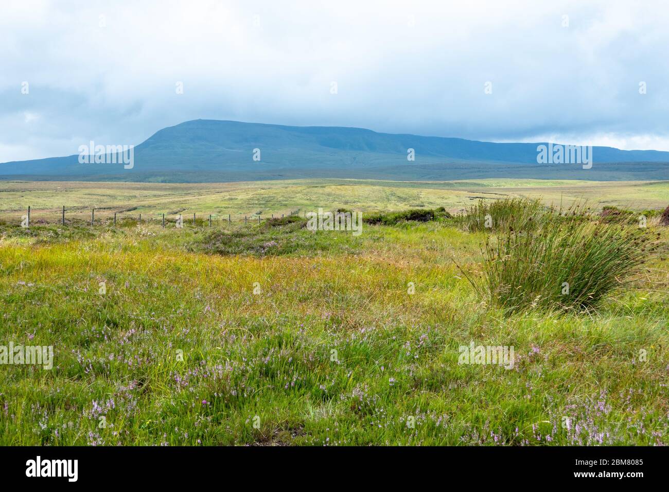 Stunning view on Cuilcagh mountains and blanket bog, Co. Fermanagh