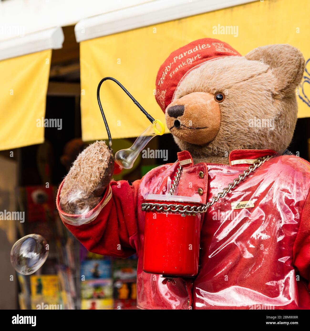 the teddy shop