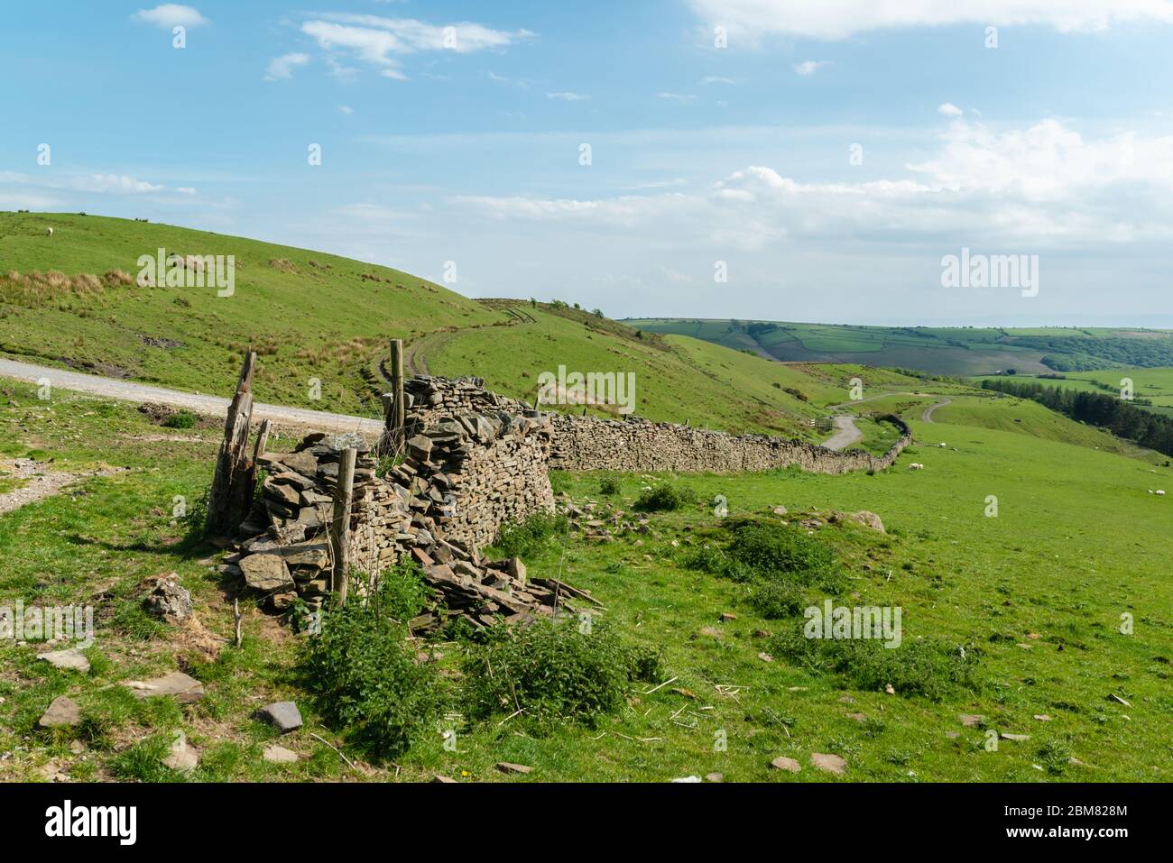 Dry stone wall running along a field Stock Photo
