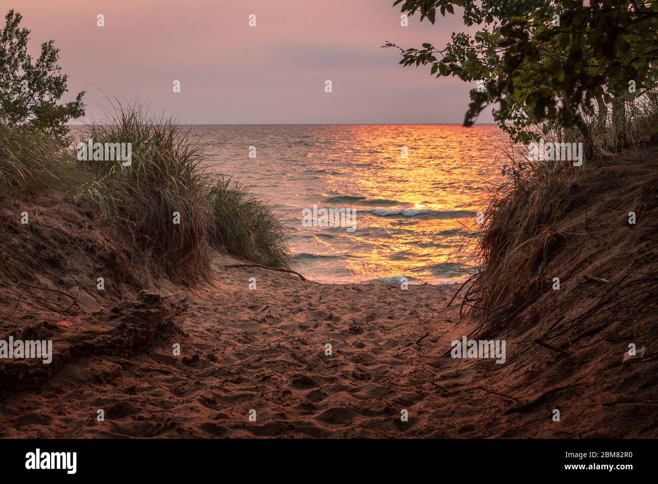 Sunset on Lake Michigan shot from the dunes of Saugatuck Michigan Stock  Photo - Alamy, image size:1300x956