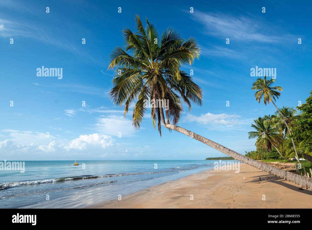 Summer beach tropical peaceful hi-res stock photography and images - Alamy