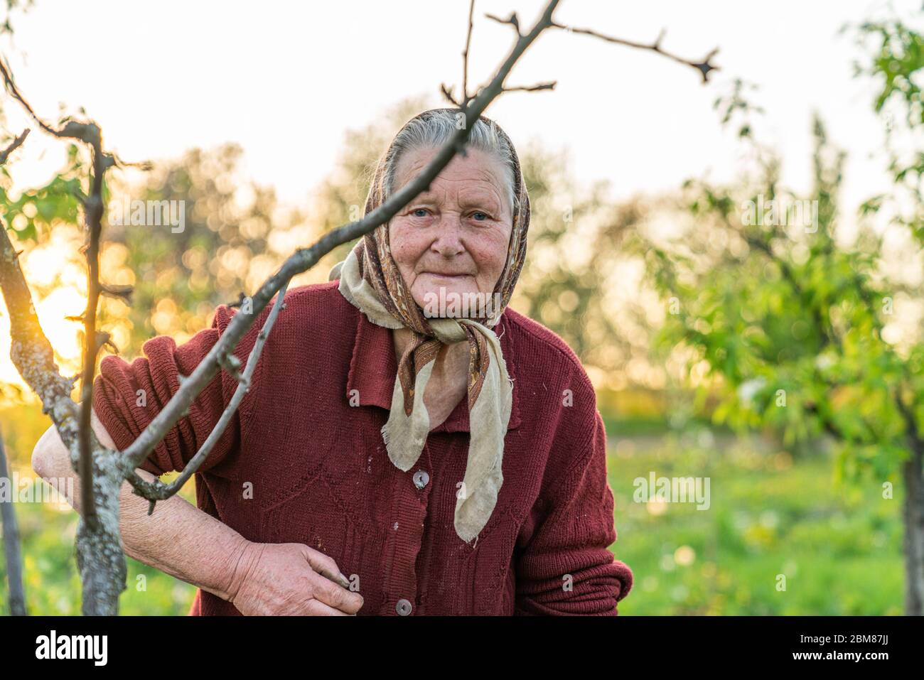 Waist up photo of an old woman pencioner in casual clothes stands among the garden Stock Photo