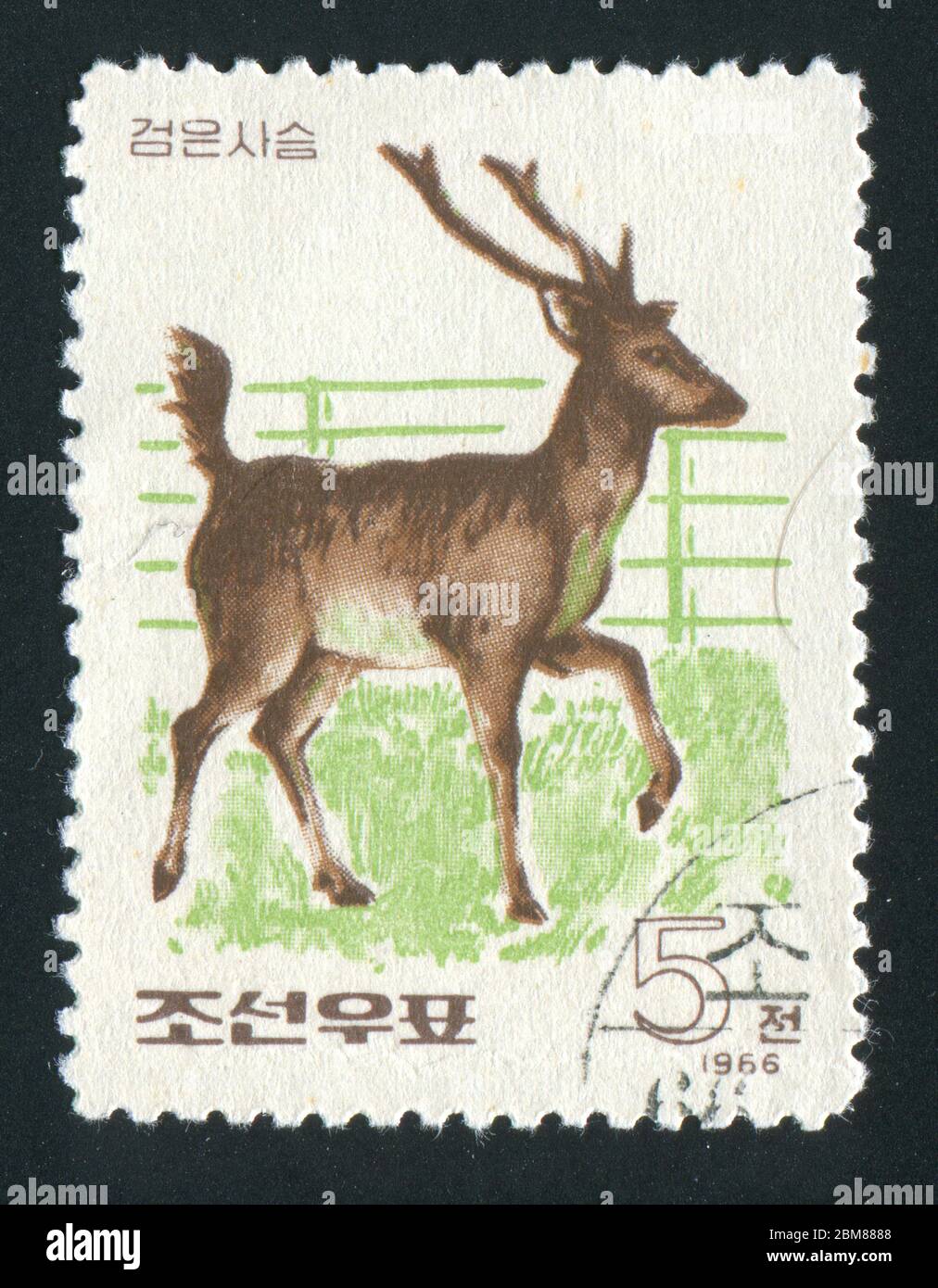 Олень сколько букв