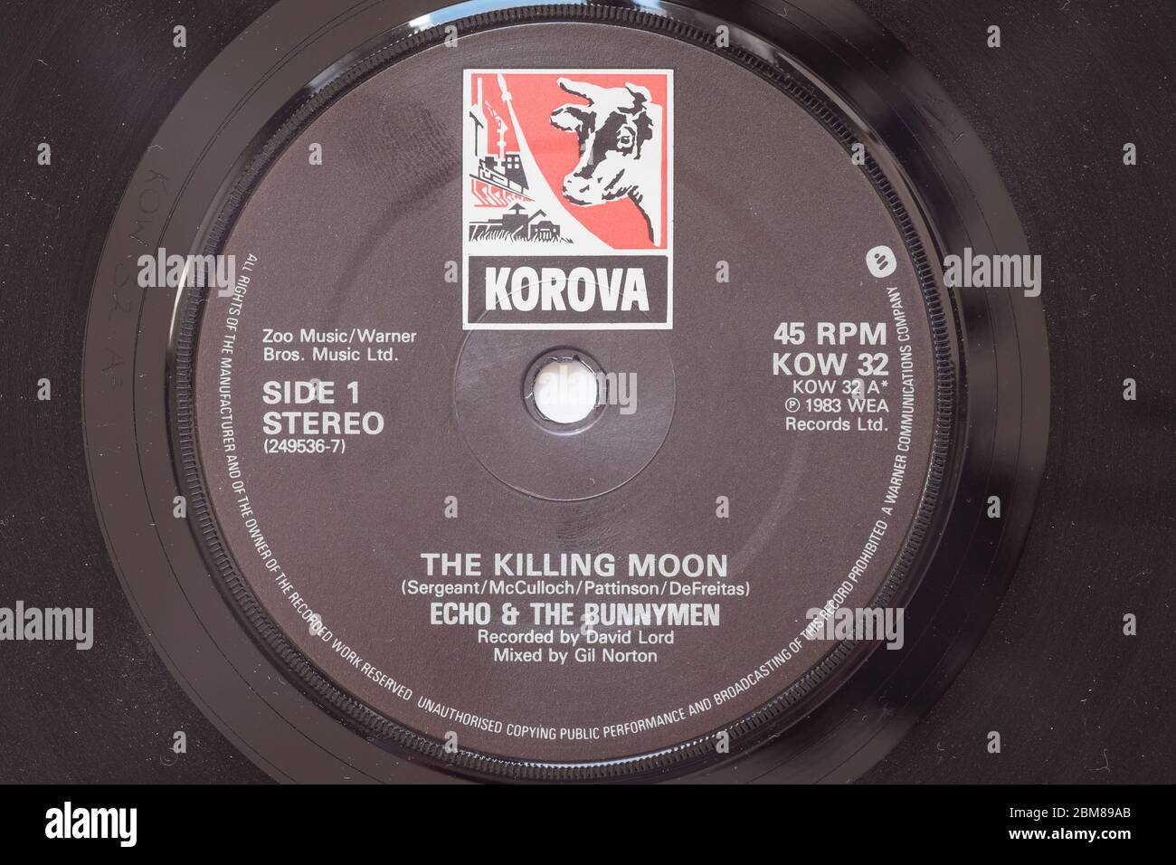 Render Gentagen skyskraber Echo & the Bunnymen The Killing Moon Stock Photo - Alamy