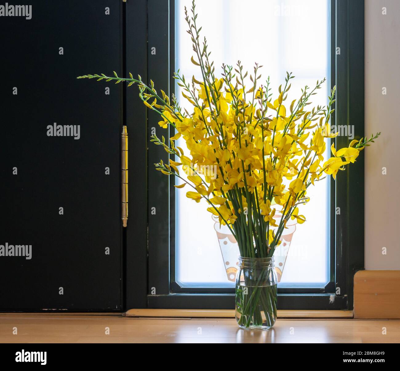 Interior decoration: Vase with yellow genista flowers next to the front door of the home Stock Photo