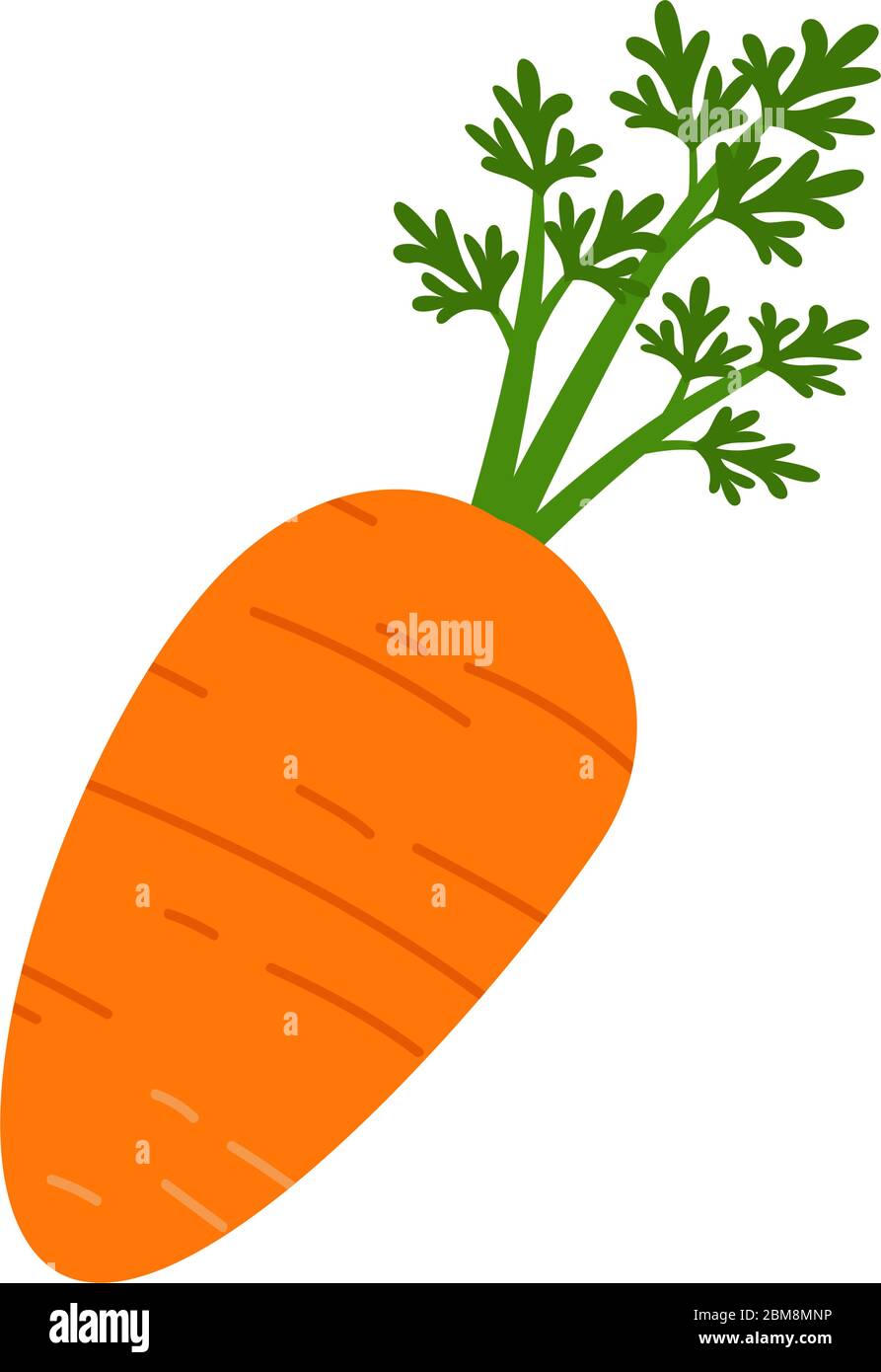 Isolated carrot icon Stock Vector