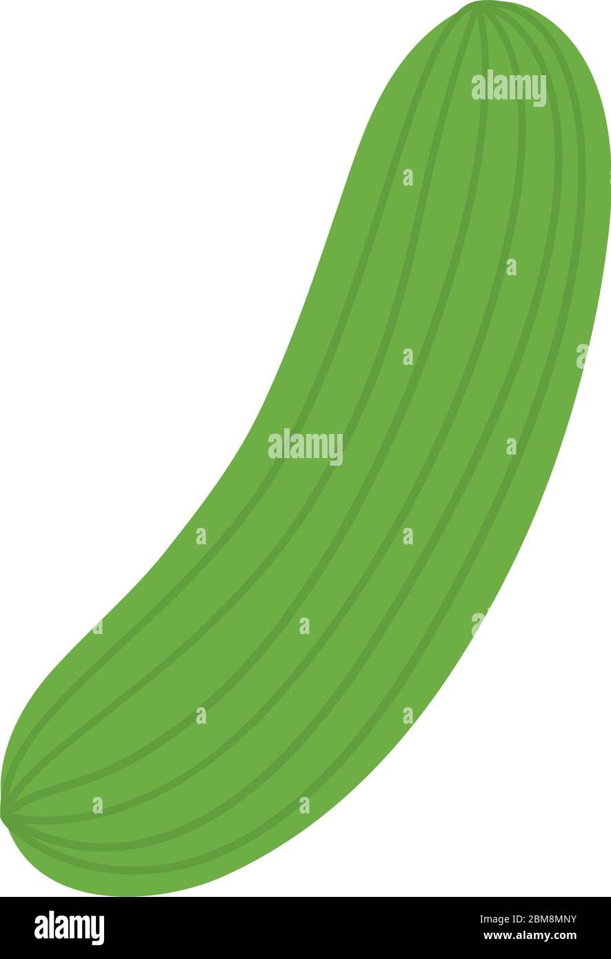 Isolated cucumber icon Stock Vector