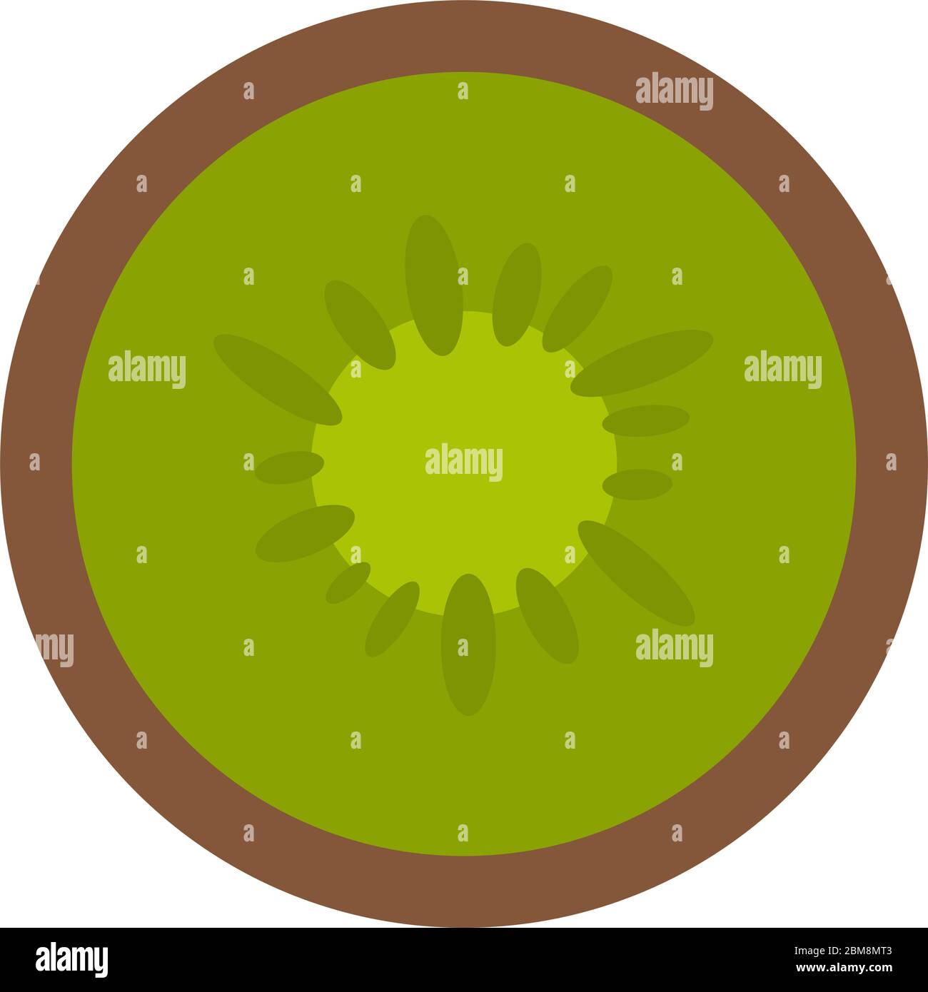 Isolated kiwi icon Stock Vector