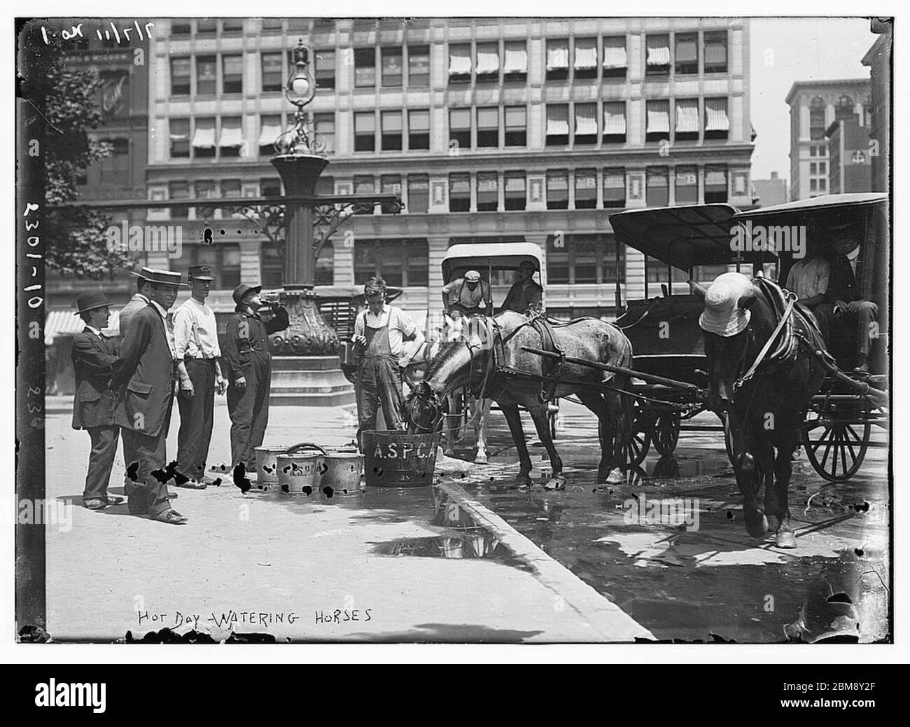 hot-day-watering-horses-loc-by-the-library-of-congress-stock-photo