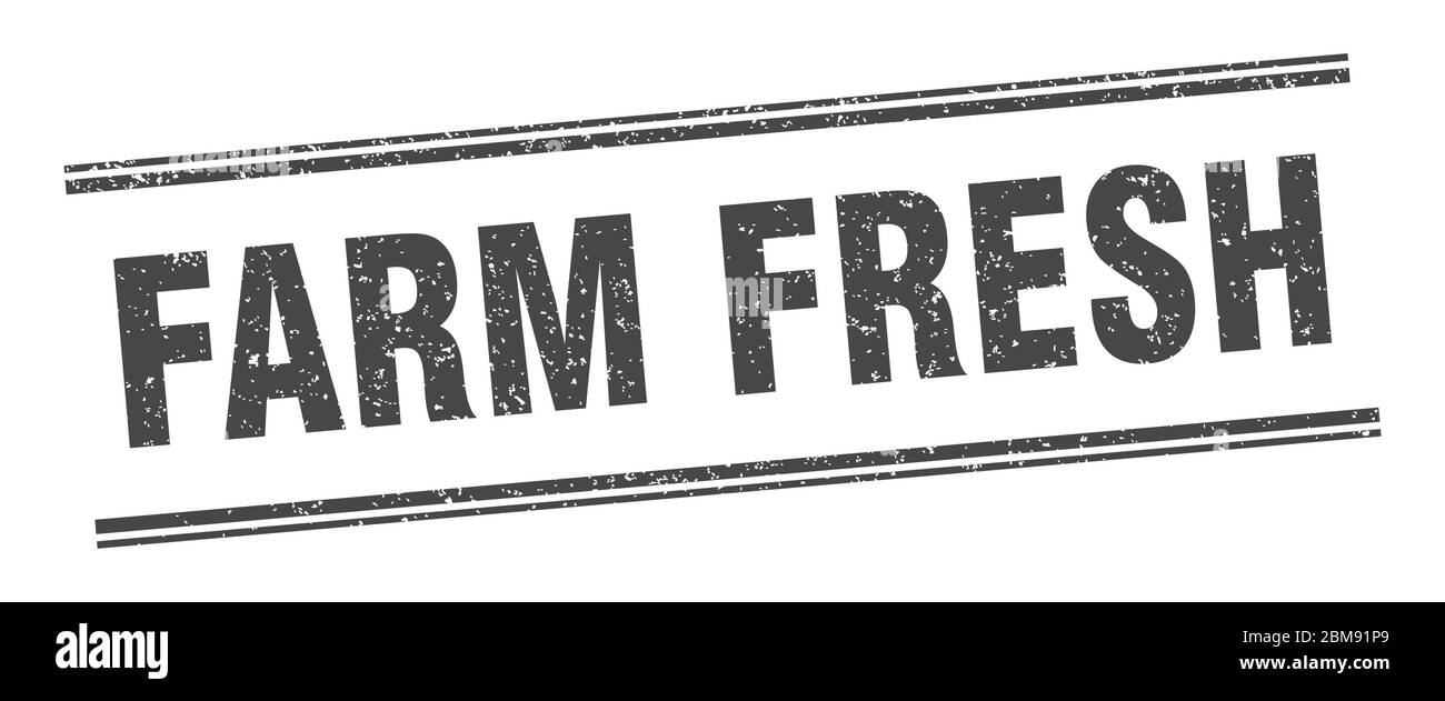 farm fresh stamp. farm fresh label. square grunge sign Stock Vector ...