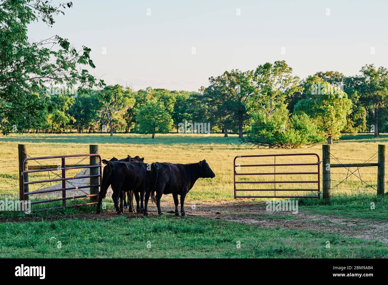 Gate open field hi-res stock photography and images - Alamy