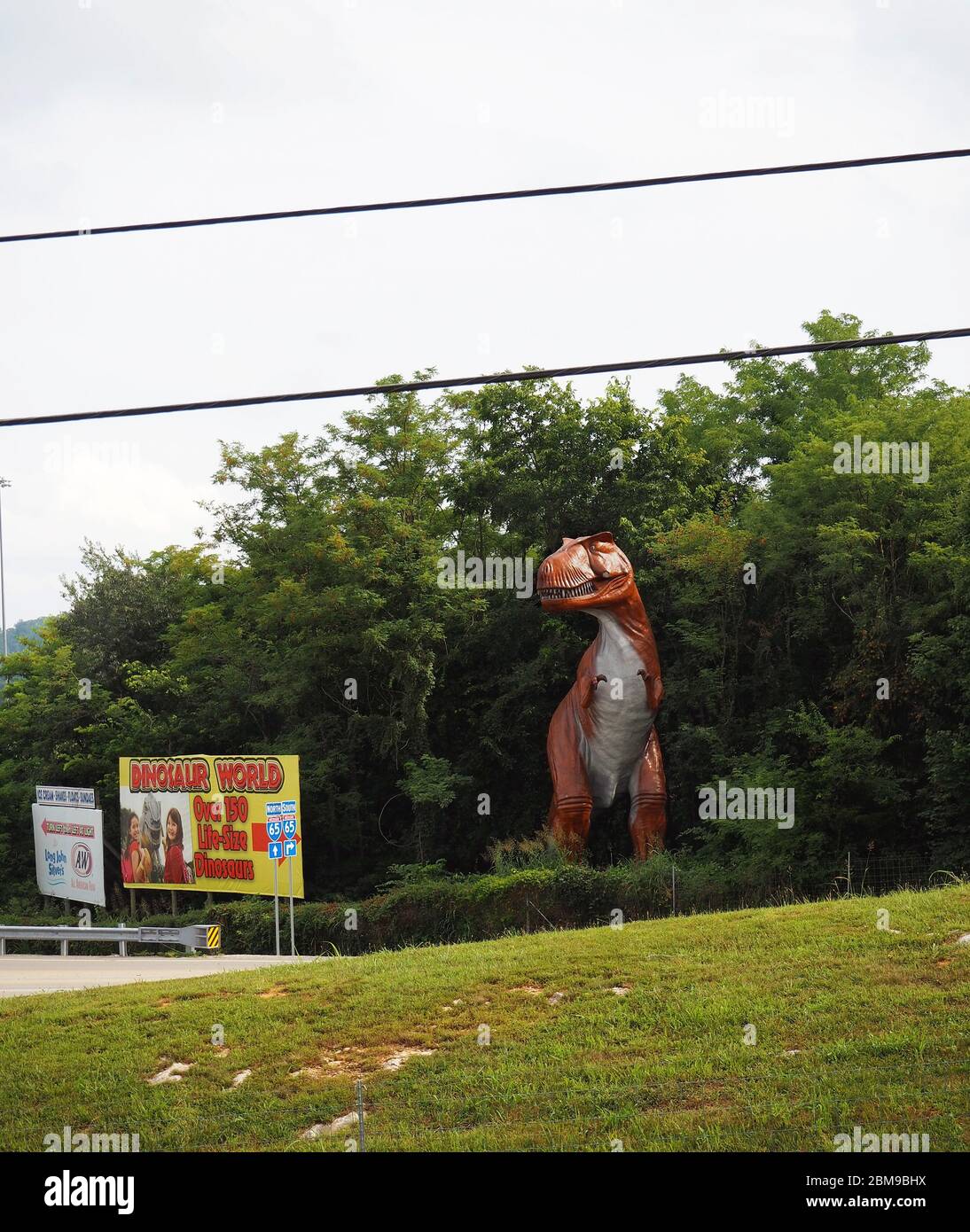 CAVE CITY, KENTUCKY - JULY 21, 2019: A large dinosaur sculpture peers out from the woods next to the highway near a sign adverstising the Dinosaur Wor Stock Photo