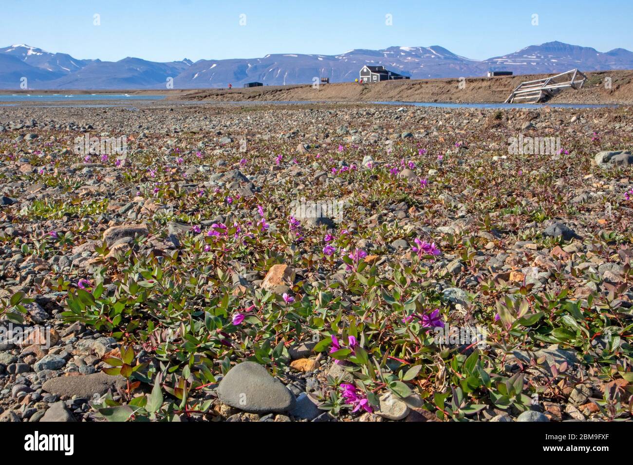 Hut at Myggbukta in Northeast Greenland National Park Stock Photo