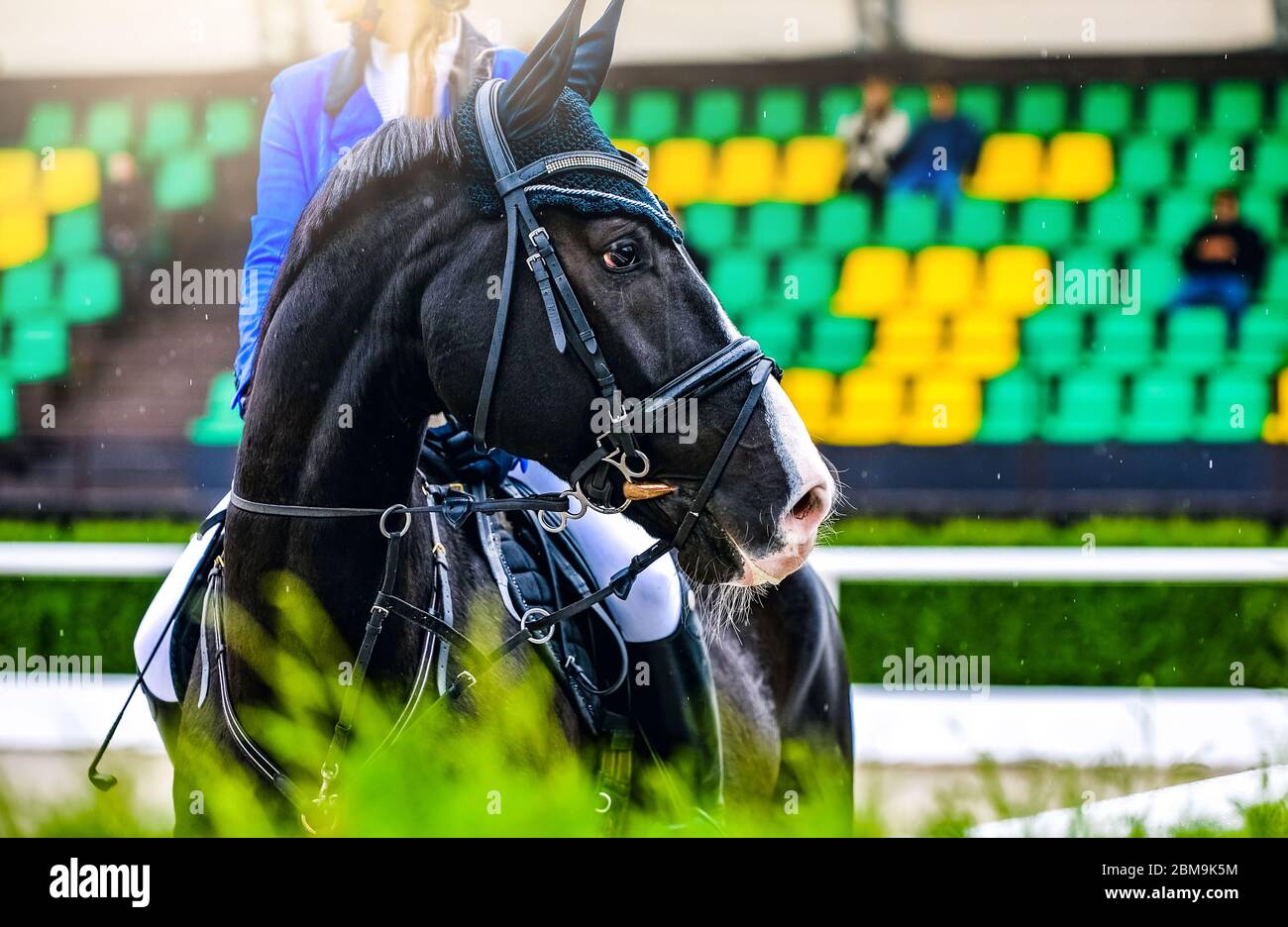 Beautiful girl on black horse in jumping show, equestrian sports. Horse