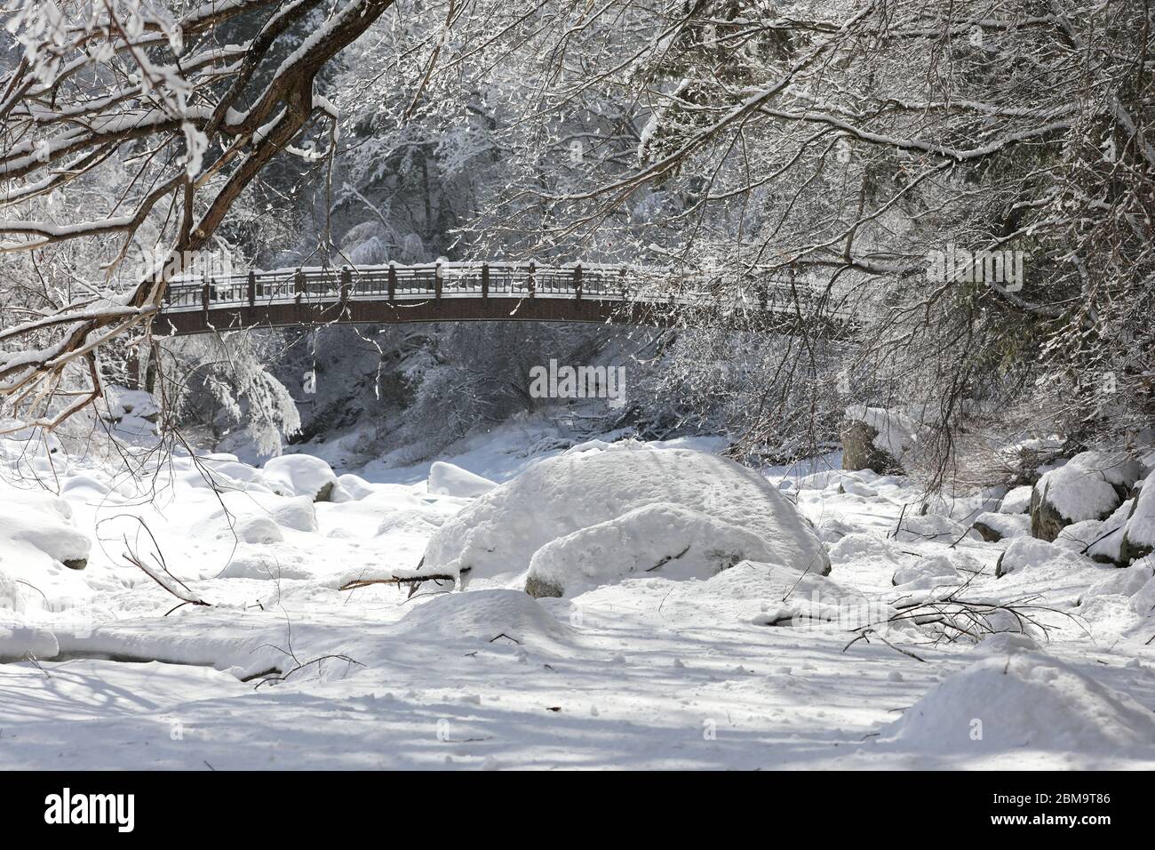 Beautiful winter landscape, snow covered trees and bridges. Korea Stock Photo