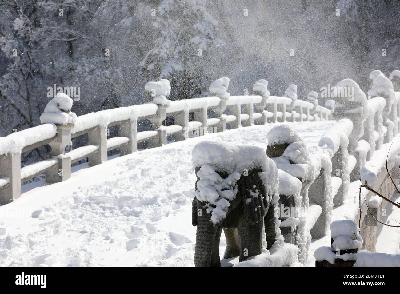 Beautiful winter landscape. Snowy stone bridge. Odaesan National Park, Gangwon-do, Korea Stock Photo