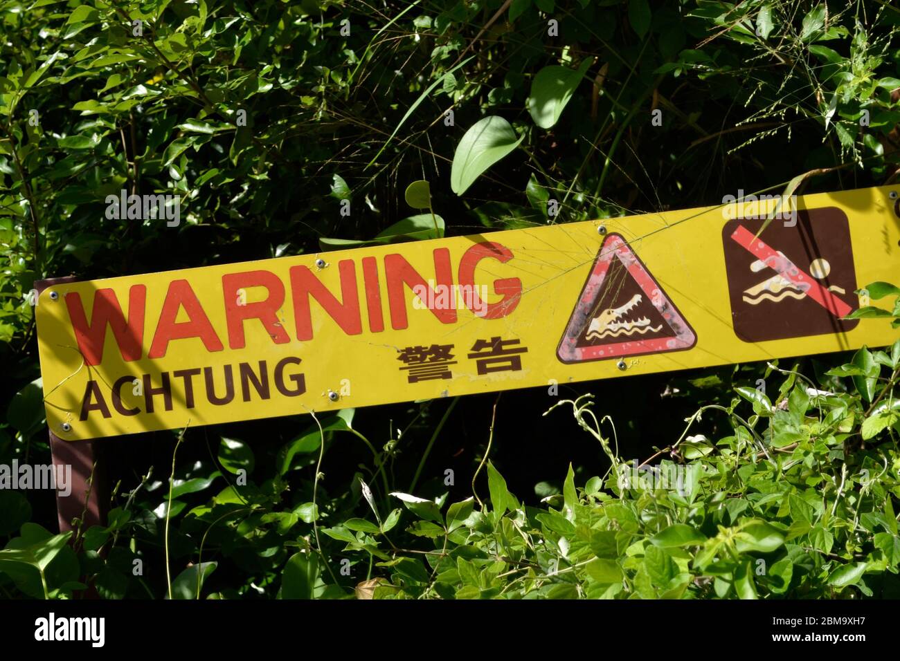 Sign in hotel gardens in Port Douglas warning of the presence of saltwater crocodiles in the wet season Stock Photo