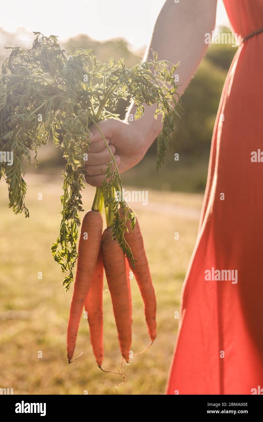 Beautiful young girl with dark curly hair in a bright orange dress is holding a bunch of carrots. Harvest concept autumn Stock Photo