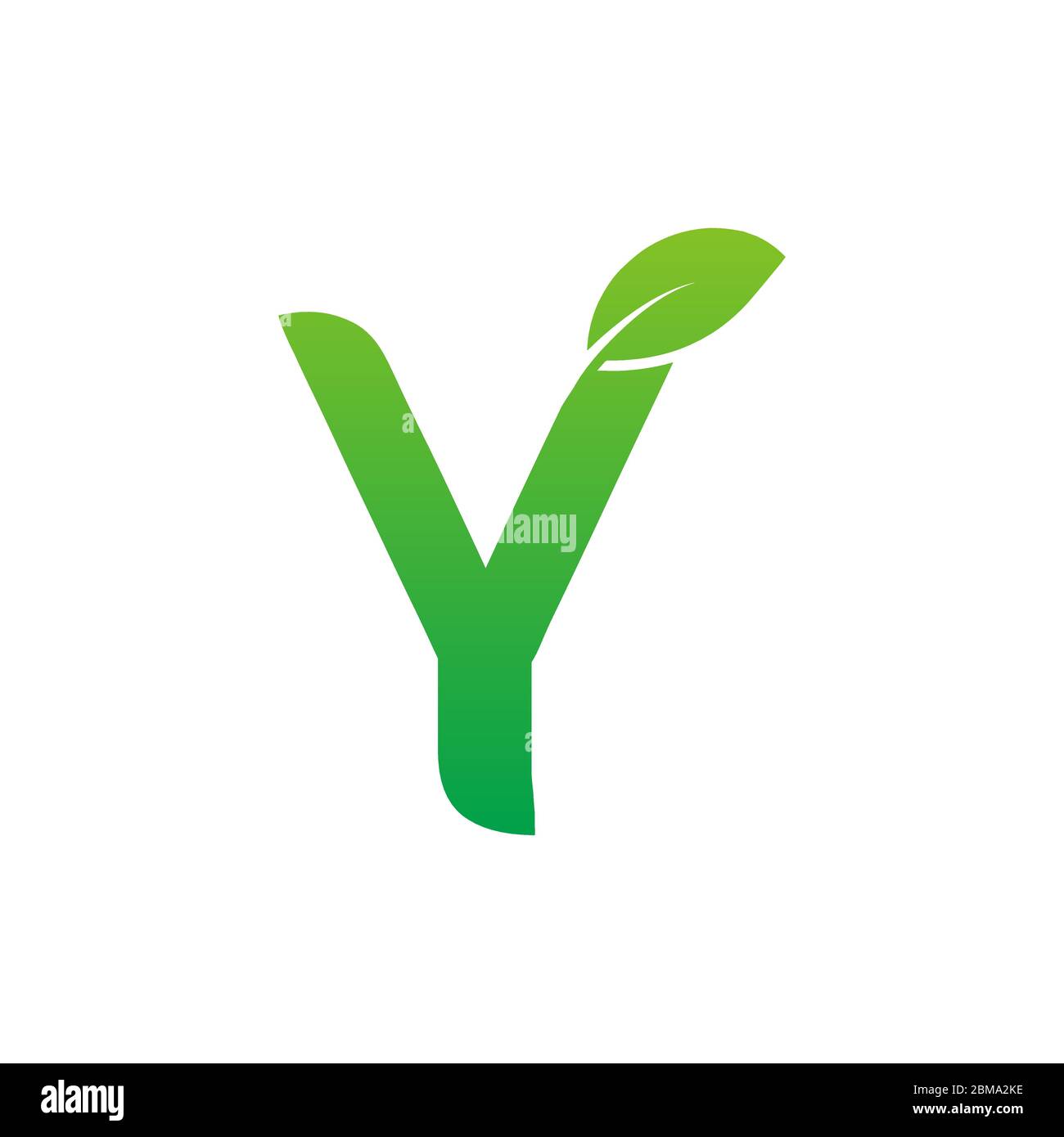 Y green leaf letter logo design vector Stock Vector