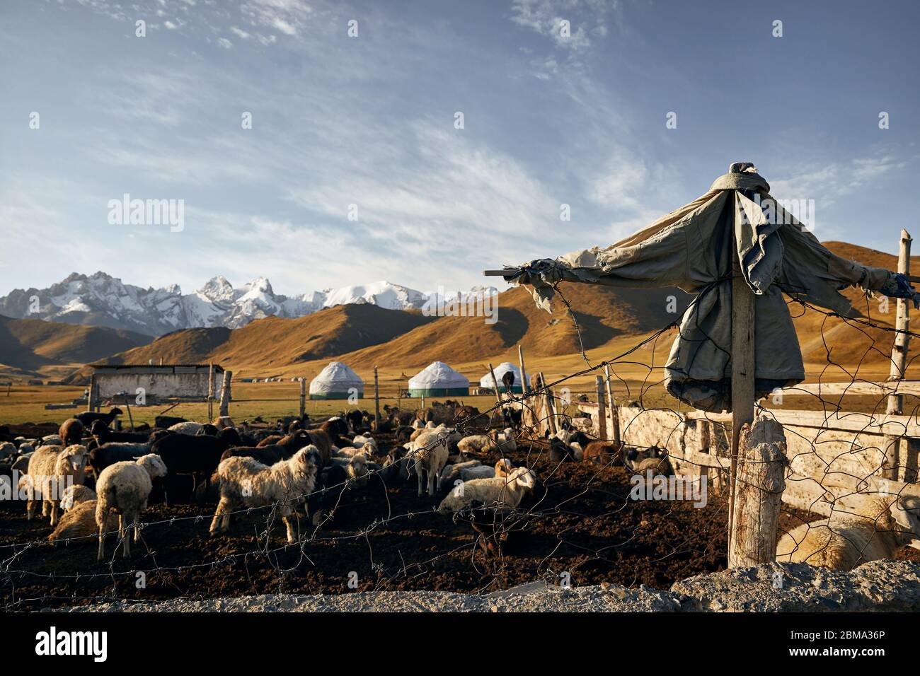 Scarecrow from jacket and corral with sheep herd near yurt nomadic camp and canteen building at mountain valley in Central Asia Stock Photo