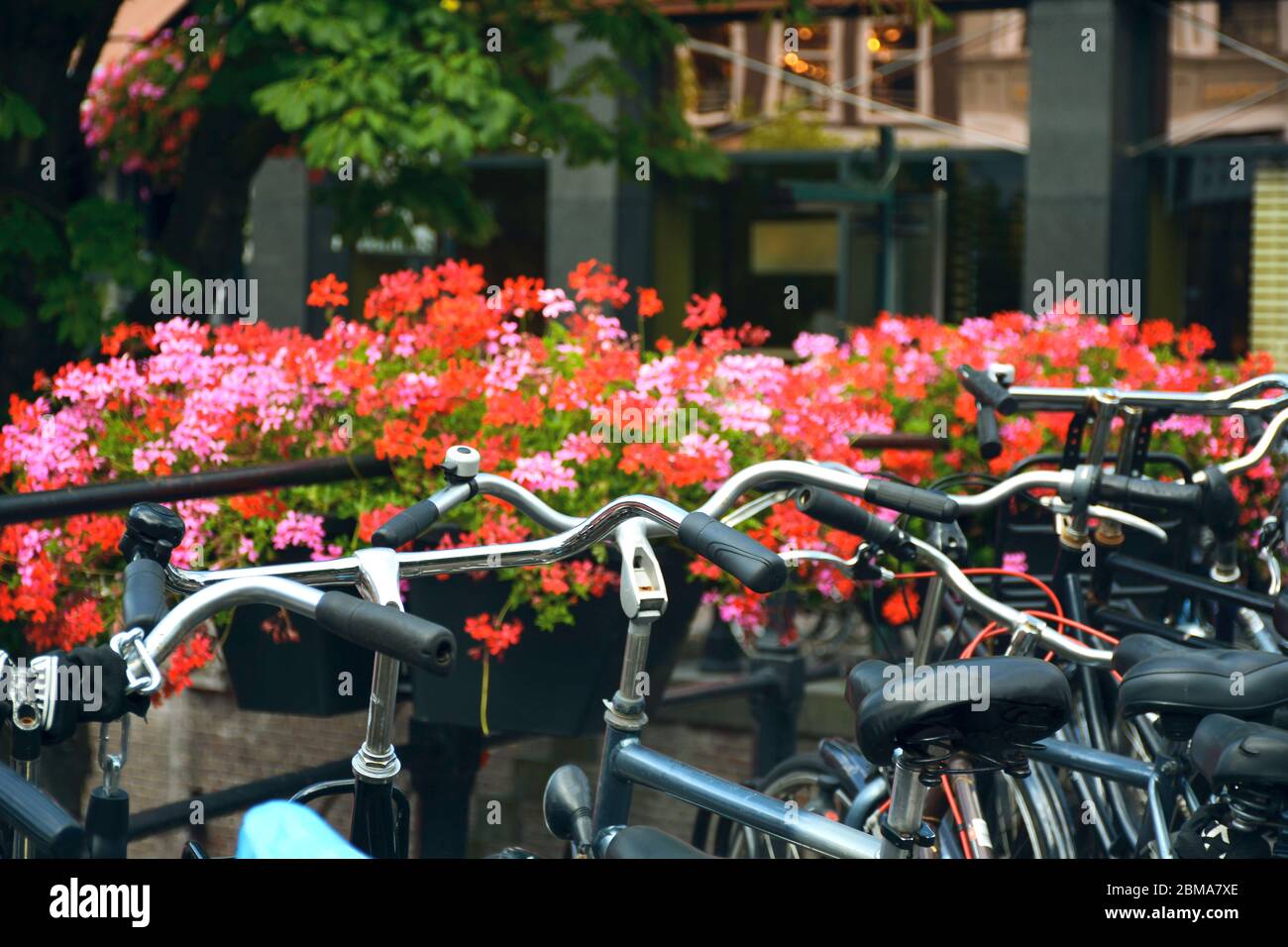 Summer view of bicycles. Bicycles parked on a bridge with flowers over the canals of Utrecht, Netherlands. Typical Dutch scene. Stock Photo