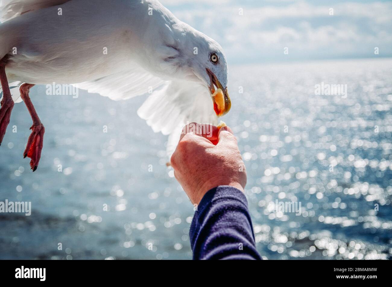 Outreaching hand hi-res stock photography and images - Alamy
