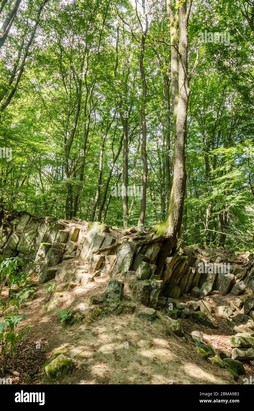 Basaltkrater Blauer Stein, basalt crater rock formations in a forest in the  Westerwald woodlands in Rhineland-Palatinate, Germany, Western Europe Stock Photo