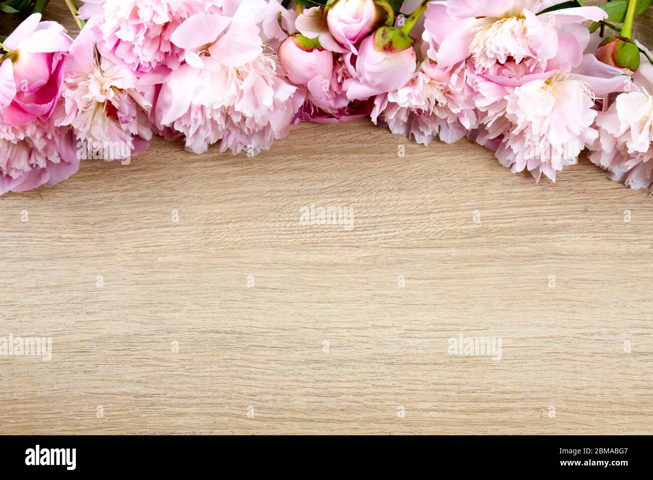 pink peonies on wooden table - web banner Stock Photo