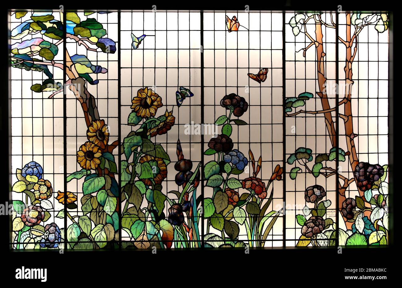 Stained glass with sunflowers and hydrangeas (C. 1908). Maumejean Brothers workshop, Modernism. Museum of Modernism Barcelona. Stock Photo