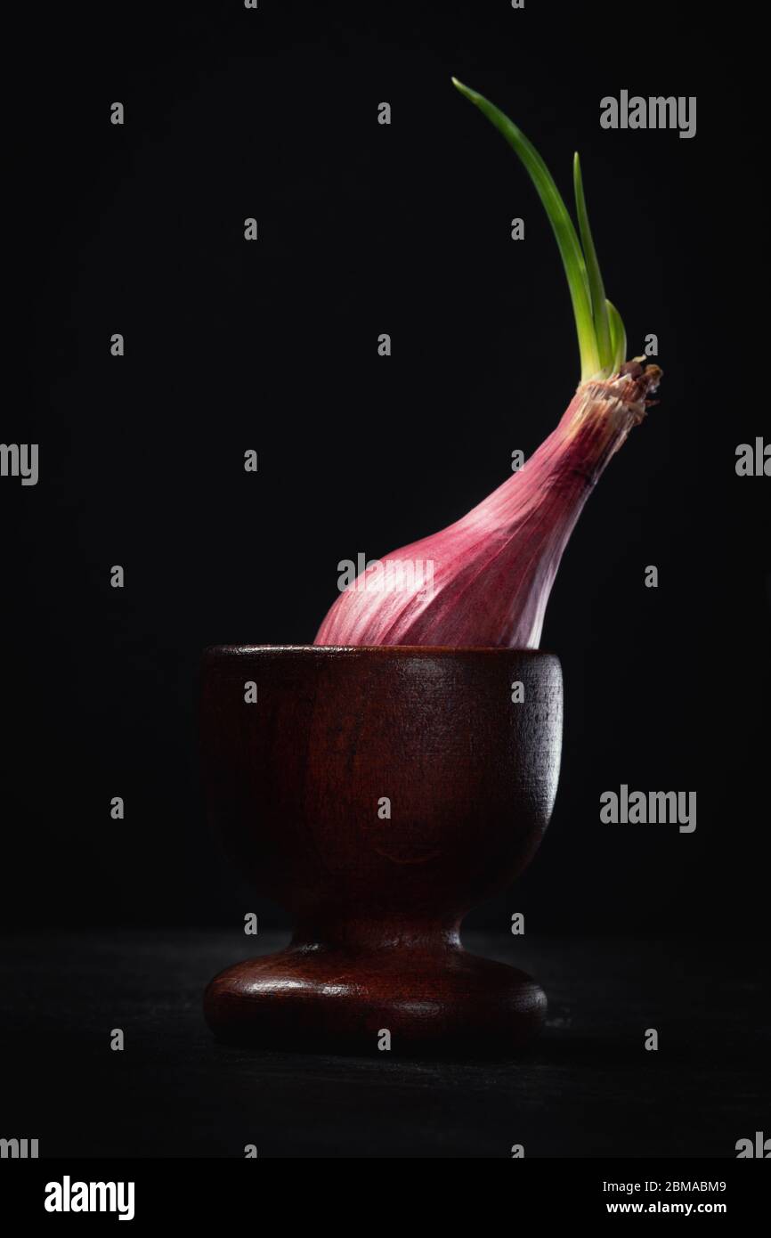 Sprouting Red Onion Inside Wooden Container Still Life Stock Photo
