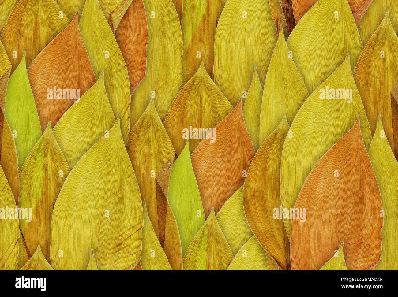 Seamless dry pressed yellow leaves pattern Stock Photo