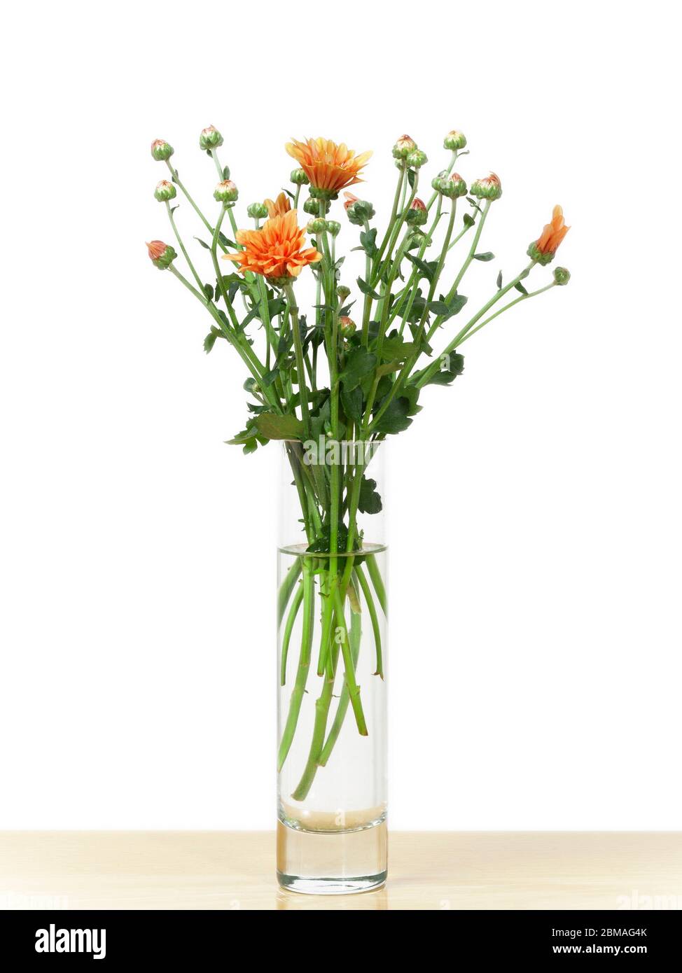 in a vase Stock Photo