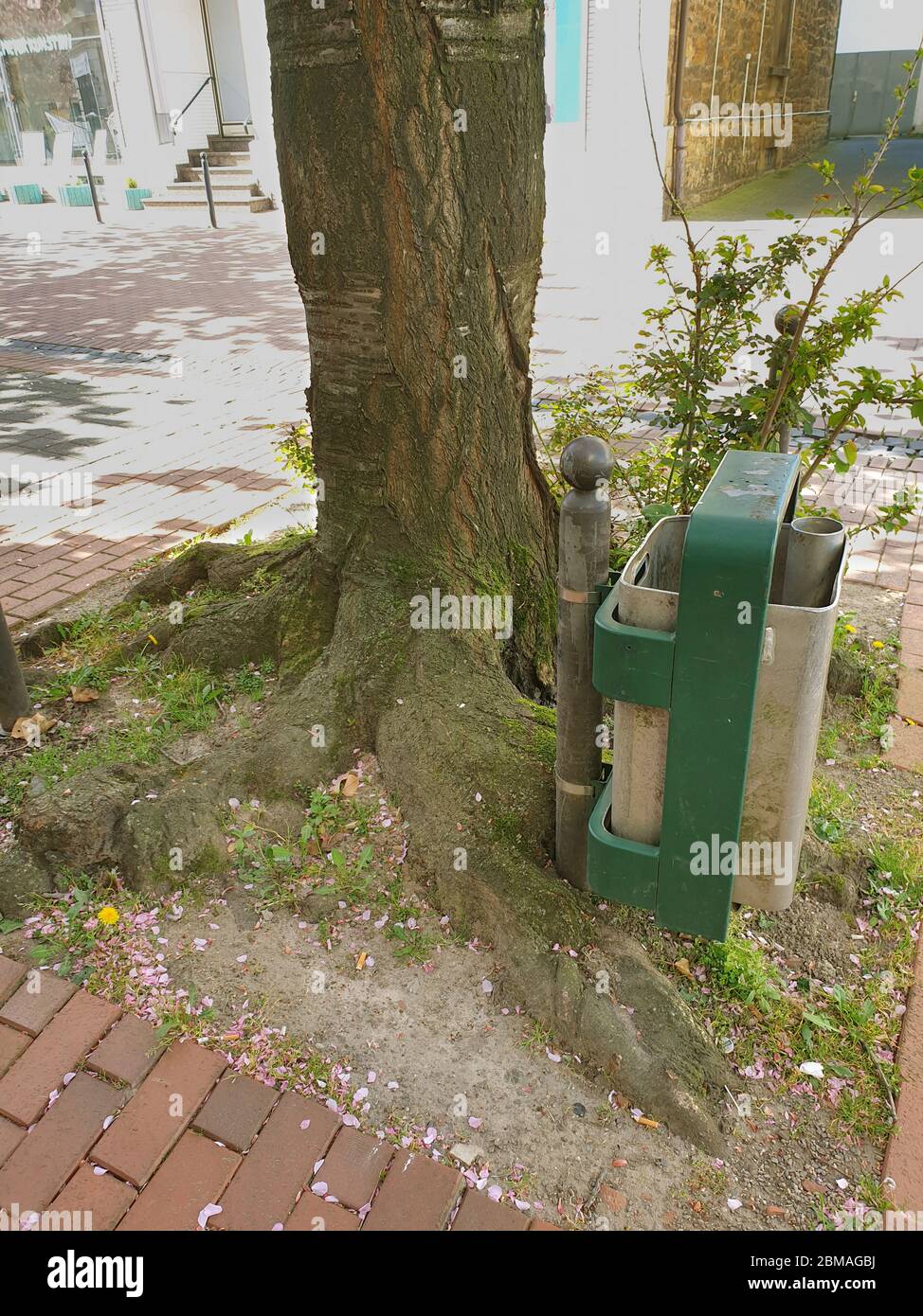 trashcan at a tree pit, Germany, North Rhine-Westphalia Stock Photo