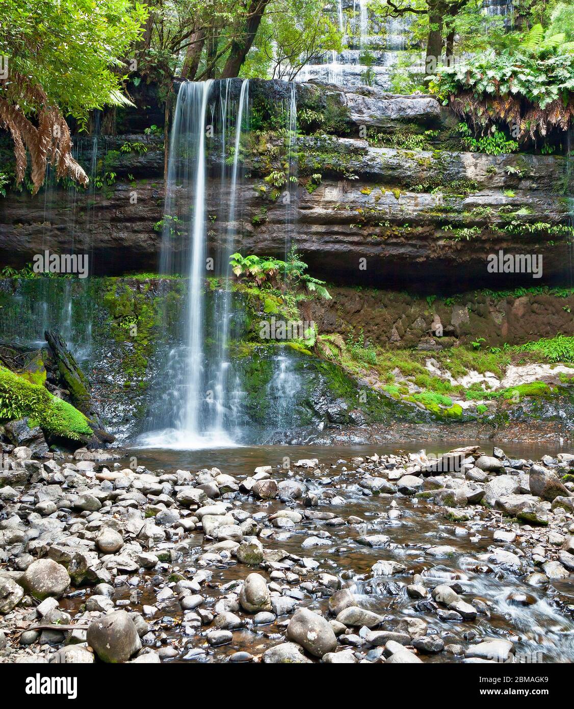 tropical rainforest waterfall, Australia Stock Photo