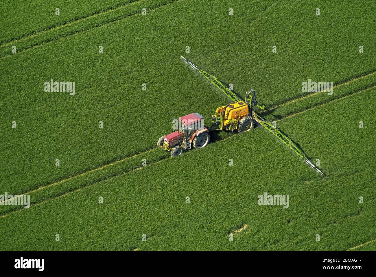 Corn Field Aerial Weed High Resolution Stock Photography and Images - Alamy