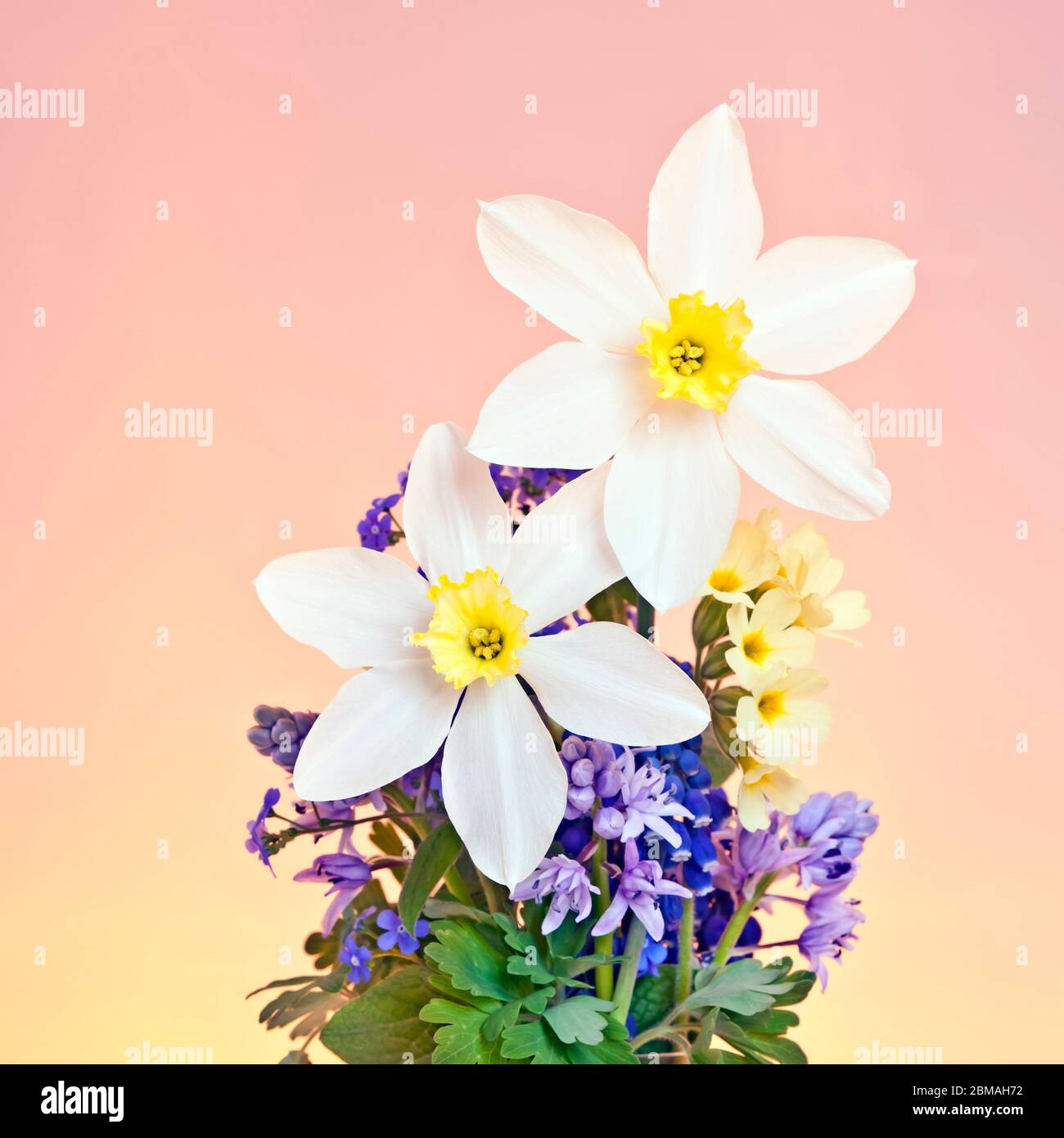 spring bouquet in a vase Stock Photo