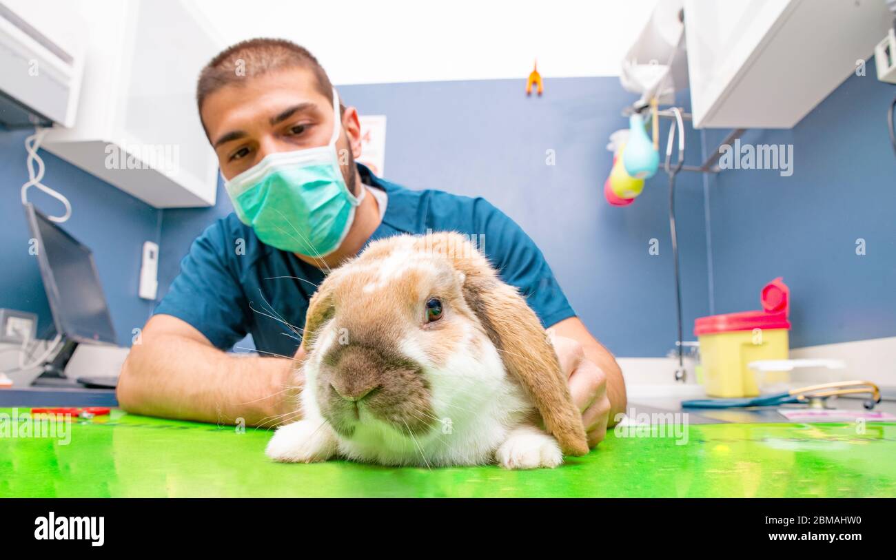 Viitation hires stock photography and images Alamy