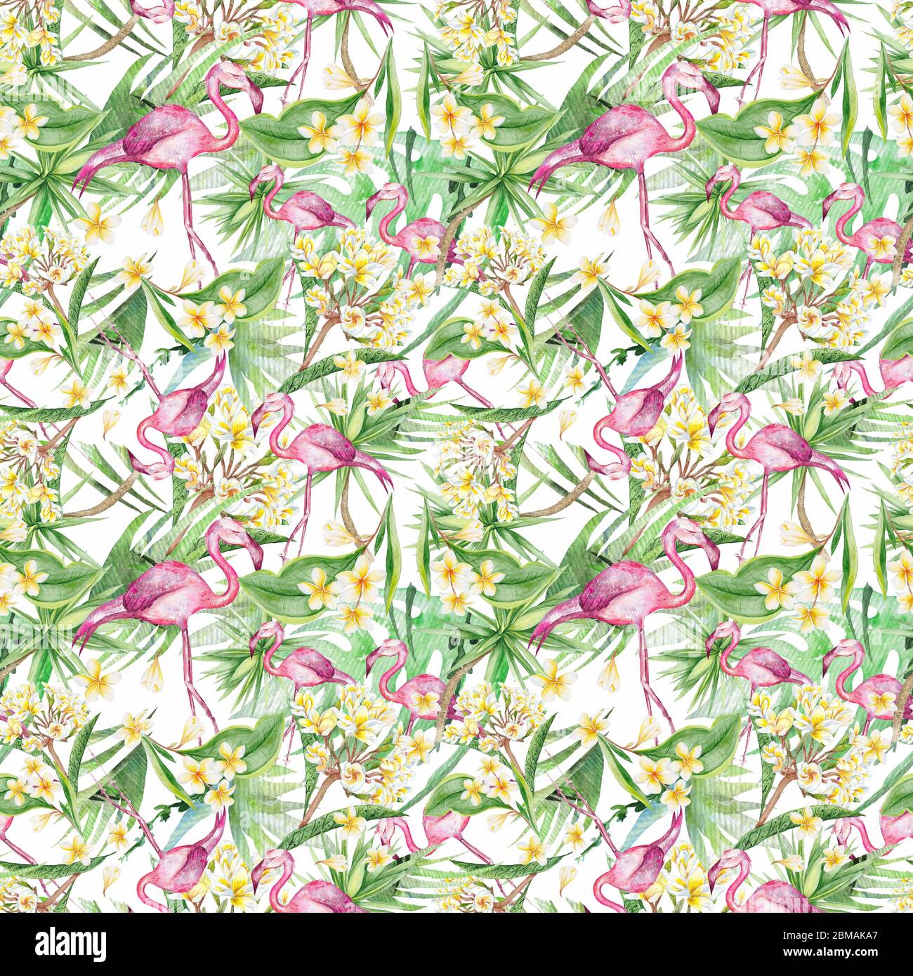 Tropical flamingo and plumeria flowers seamless pattern Stock Photo - Alamy
