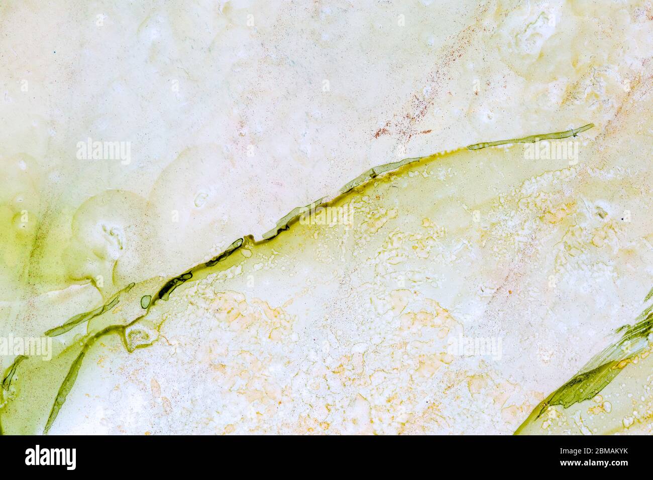 Green abstract background. Modern art. Natural pattern, luxury. Abstract artwork, trendy style. Stock Photo