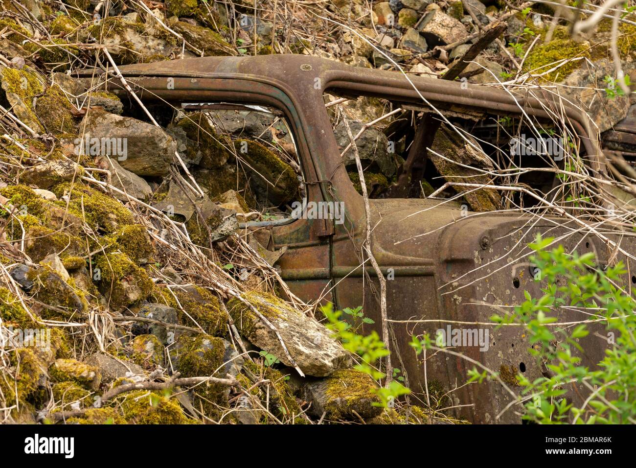 Old Cars Buried For Erosion Control Stock Photo